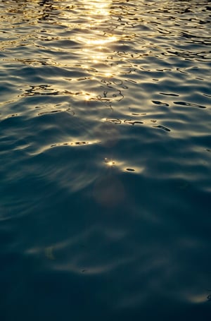 imgae - bento - water - new